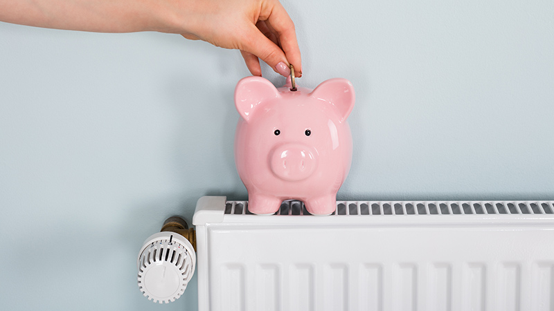 cerdito sobre radiador - bono social termico